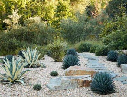 landscape drought tolerant