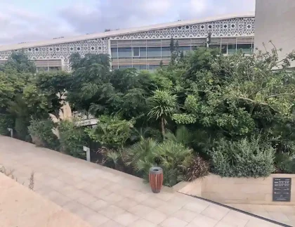 Green roof and hanging gardens in Rabat designed by a landscape architect